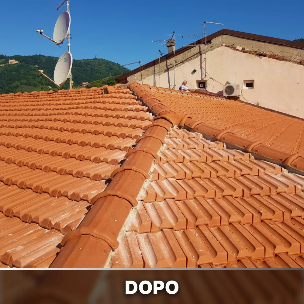 Ristrutturazione Tetto in Coppi _ Dopo (1)